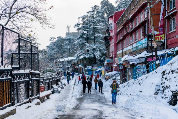 Best of Shimla & Manali